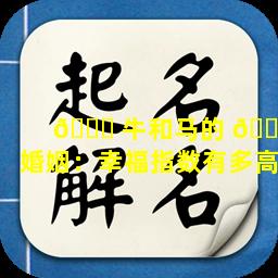 🐅 牛和马的 🐛 婚姻：幸福指数有多高